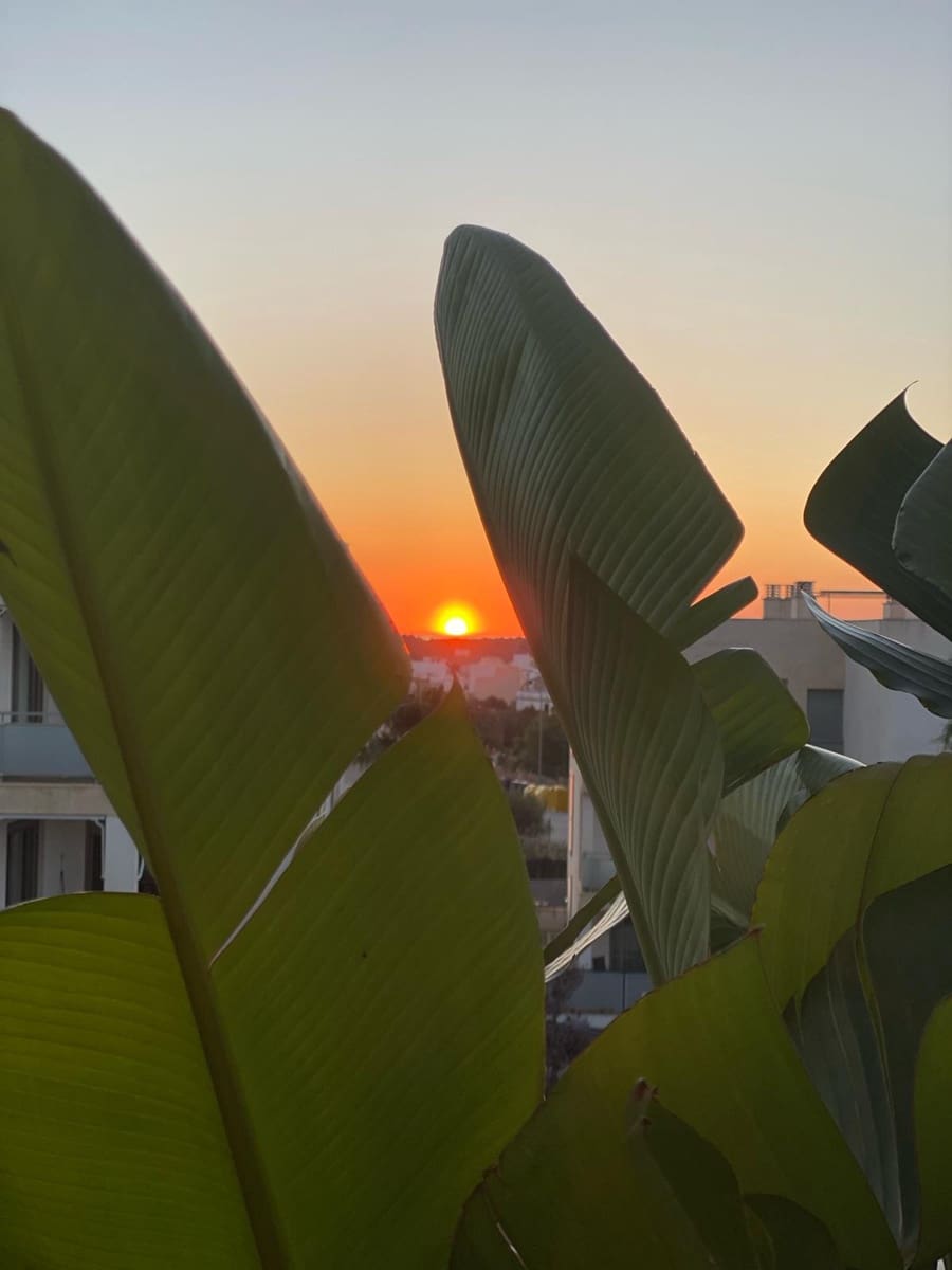 4 quarto Moradia em Banda para venda em Portocolom com piscina garagem - 850 000 € (Ref: 8404026)