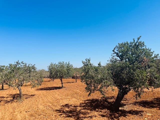 Teren niezagospodarowany na sprzedaż w Cas Concos, Felanitx - 700 000 € (Ref: 8425052)