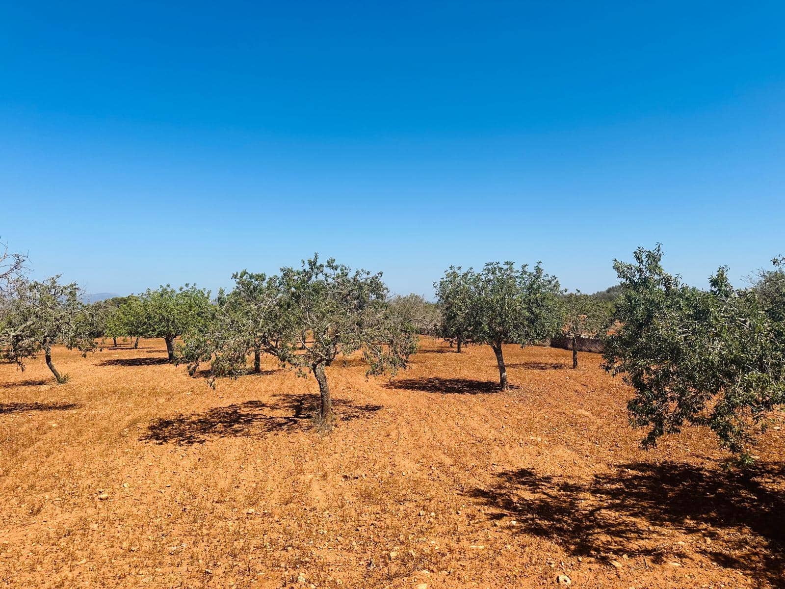Rakentamaton maa myytävänä paikassa Cas Concos - 700 000 € (Ref: 8425052)