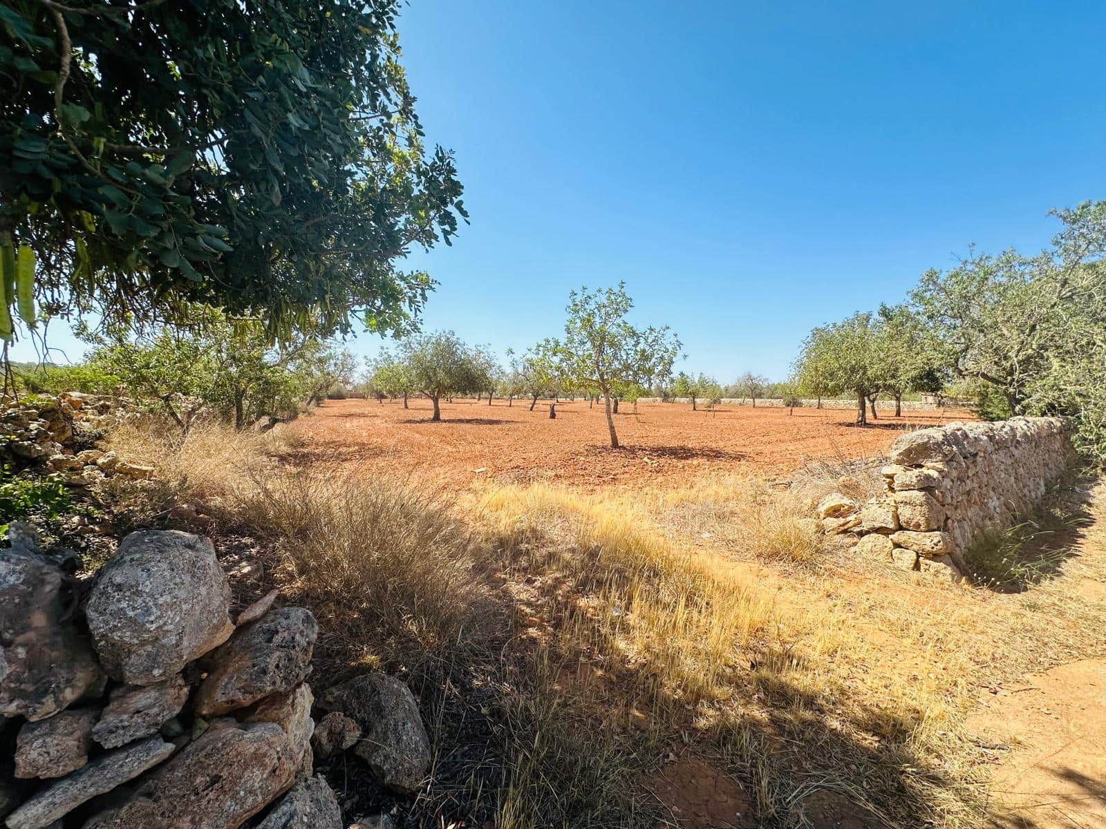 Rakentamaton maa myytävänä paikassa Cas Concos - 700 000 € (Ref: 8425052)