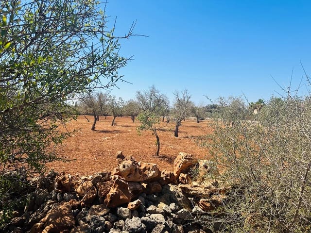 Teren niezagospodarowany na sprzedaż w Cas Concos, Felanitx - 700 000 € (Ref: 8425052)