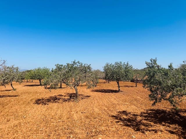 Teren niezagospodarowany na sprzedaż w Cas Concos, Felanitx - 700 000 € (Ref: 8425052)