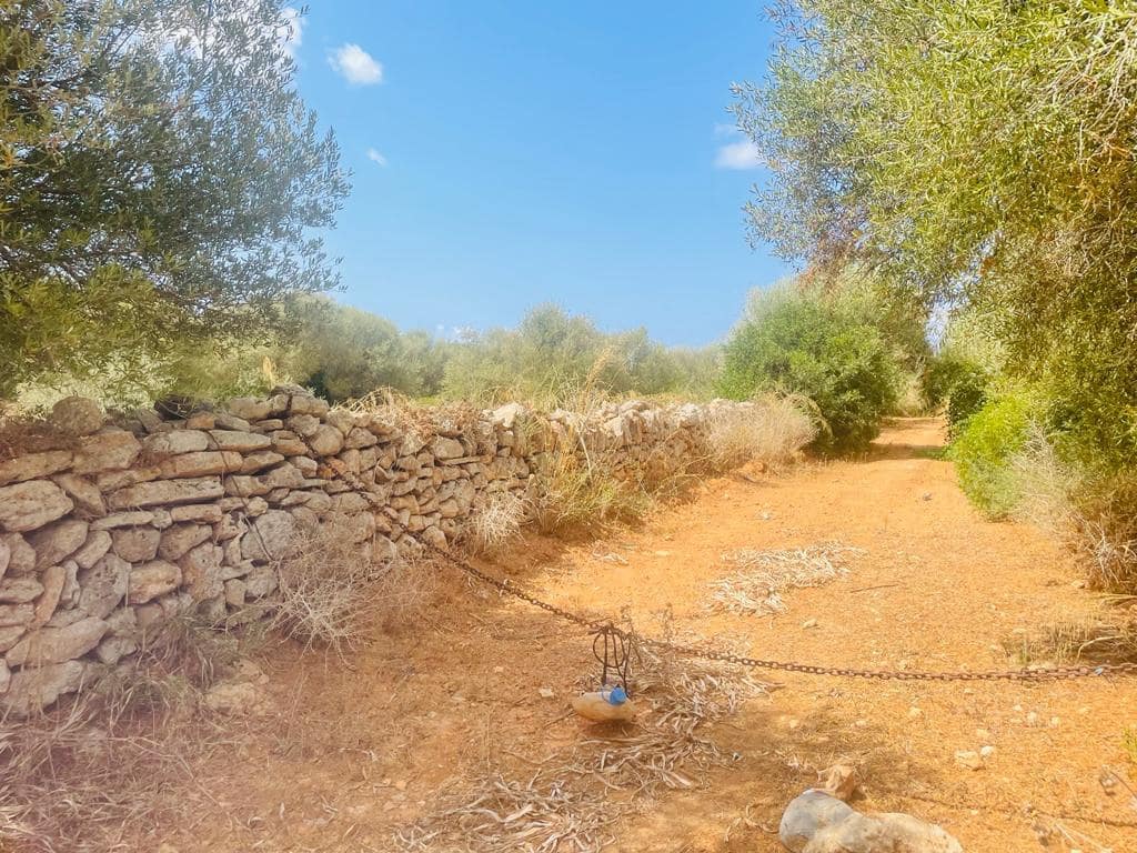 Teren niezagospodarowany na sprzedaż w Santanyi - 740 000 € (Ref: 8460880)