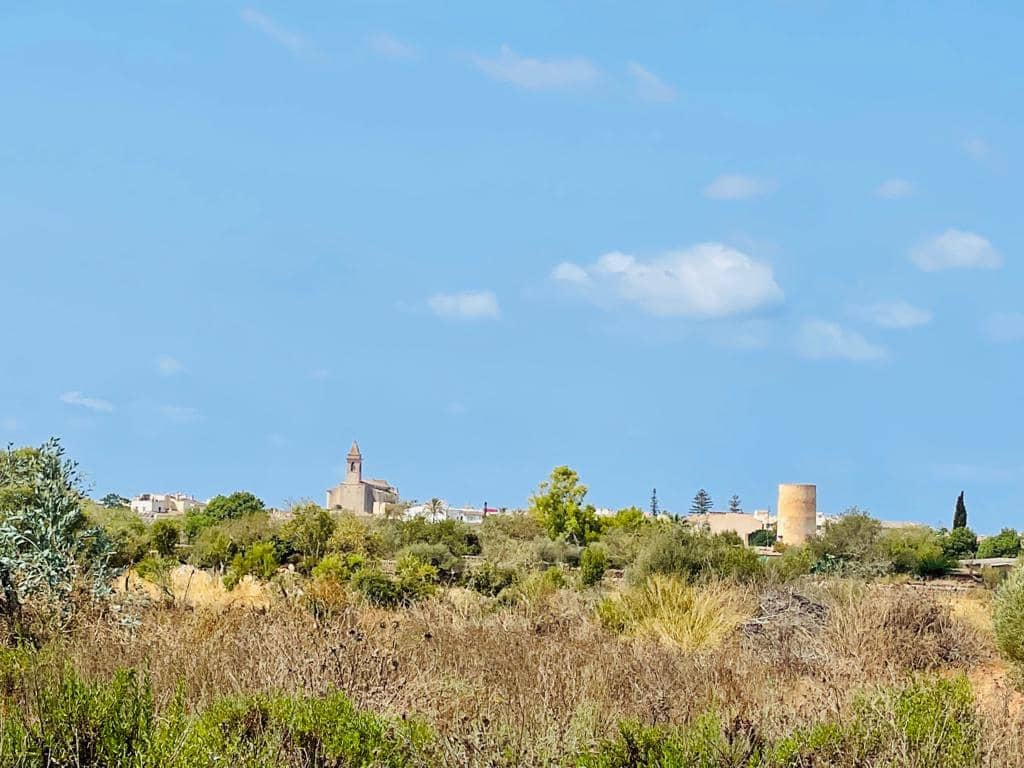 Teren niezagospodarowany na sprzedaż w Santanyi - 740 000 € (Ref: 8460880)