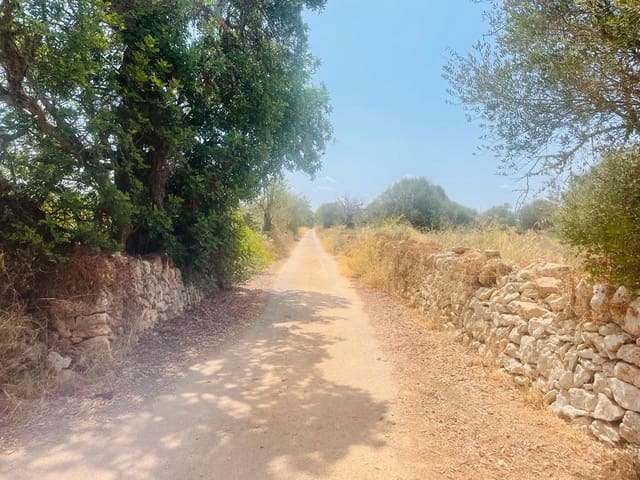 Undeveloped Land for sale in Santanyí - € 740,000 (Ref: 8460880)