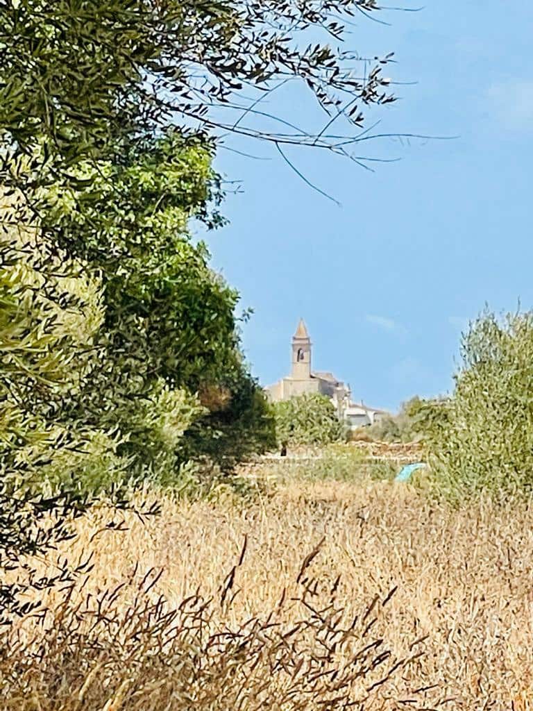 Grunde uden byggetilladelser til salg i Santanyi - € 669.000 (Ref: 8460883)