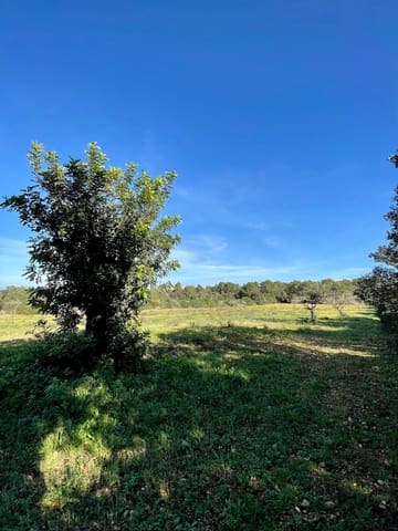 Teren niezagospodarowany na sprzedaż w Cas Concos, Felanitx - 420 000 € (Ref: 8460886)