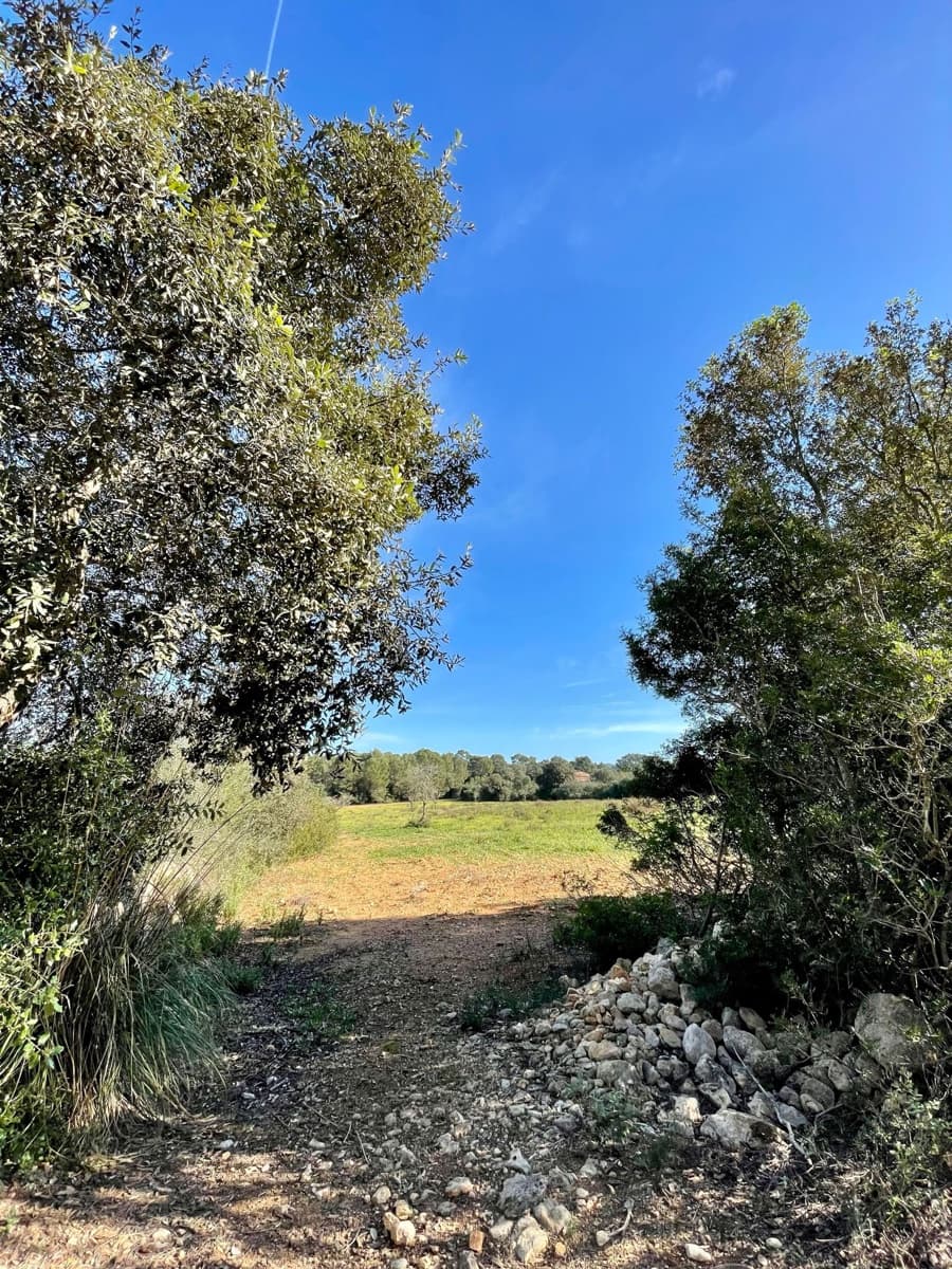 Grunde uden byggetilladelser til salg i Cas Concos - € 420.000 (Ref: 8460886)