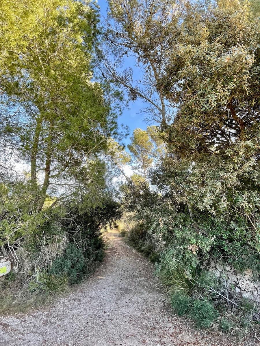 Grunde uden byggetilladelser til salg i Cas Concos - € 420.000 (Ref: 8460886)