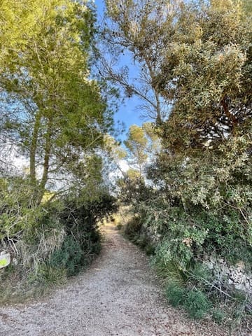 Teren niezagospodarowany na sprzedaż w Cas Concos, Felanitx - 420 000 € (Ref: 8460886)