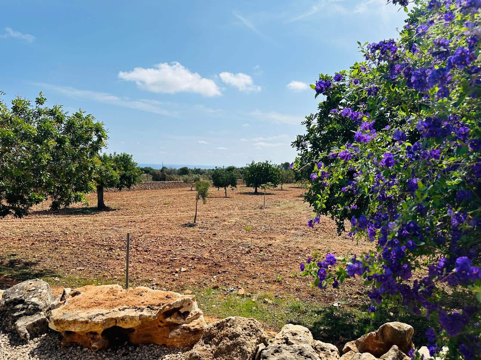 5 soveværelse Finca/Landehus til salg i Espinagar med swimmingpool garage - € 3.150.000 (Ref: 8499073)