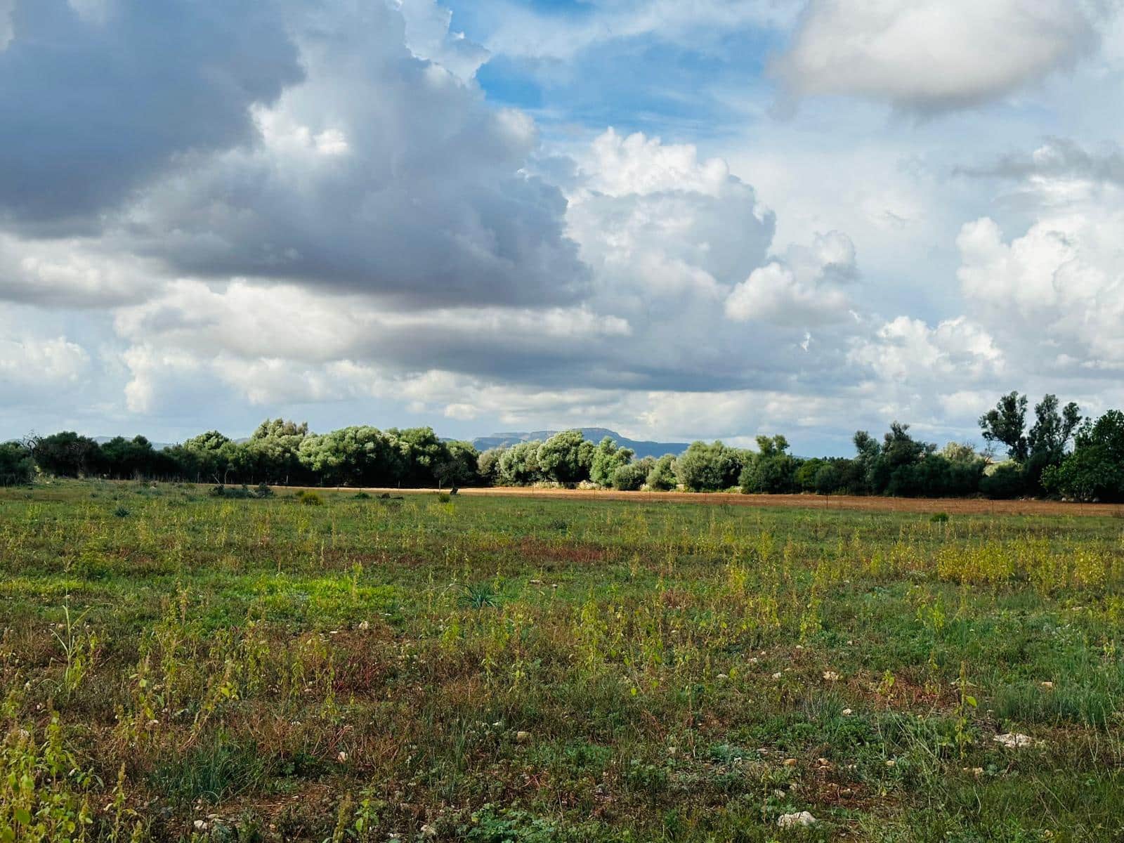 2 sypialnia Finka/Dom wiejski na sprzedaż w Felanitx z garażem - 600 000 € (Ref: 8608891)