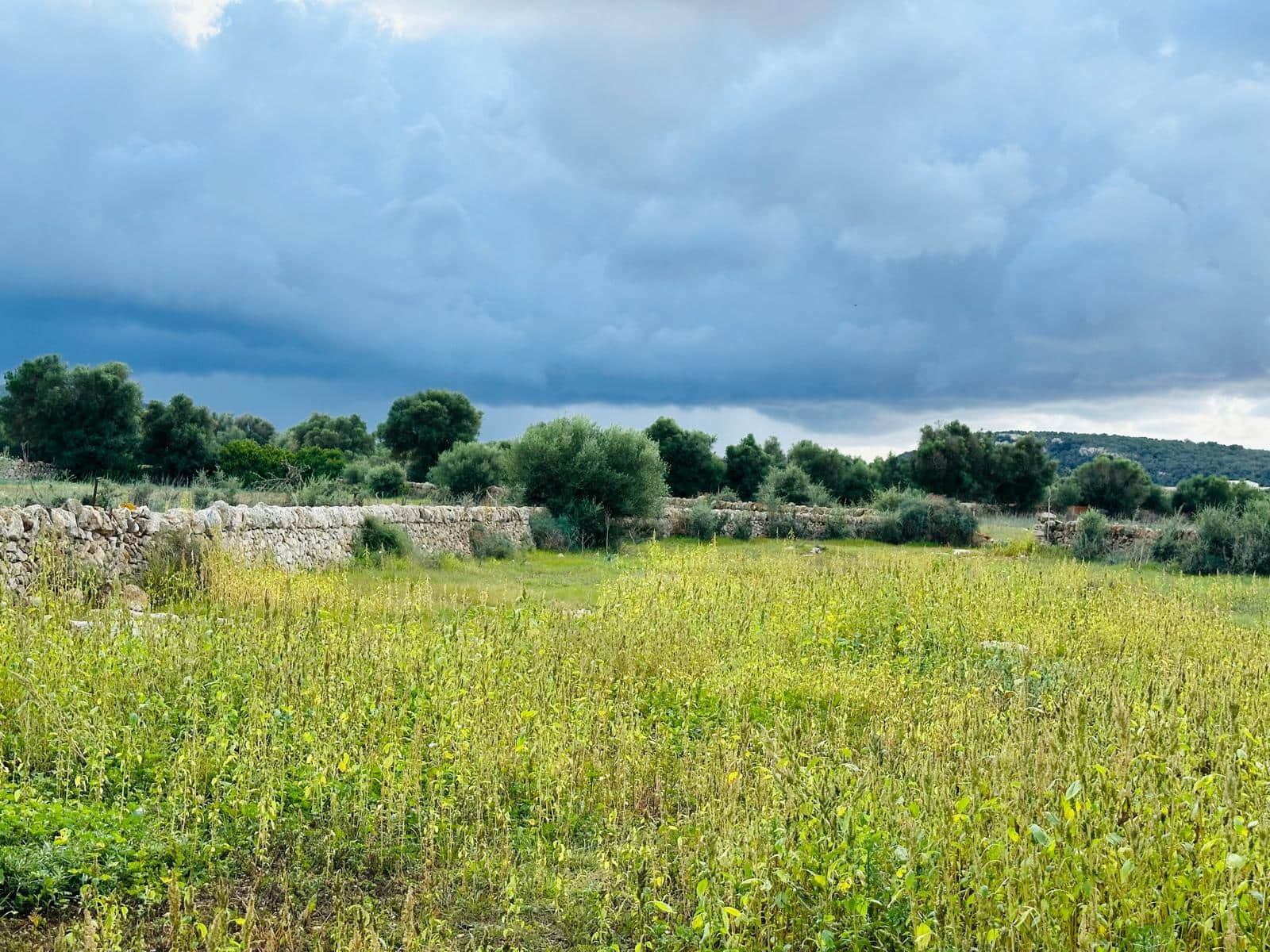 2 sypialnia Finka/Dom wiejski na sprzedaż w Felanitx z garażem - 600 000 € (Ref: 8608891)