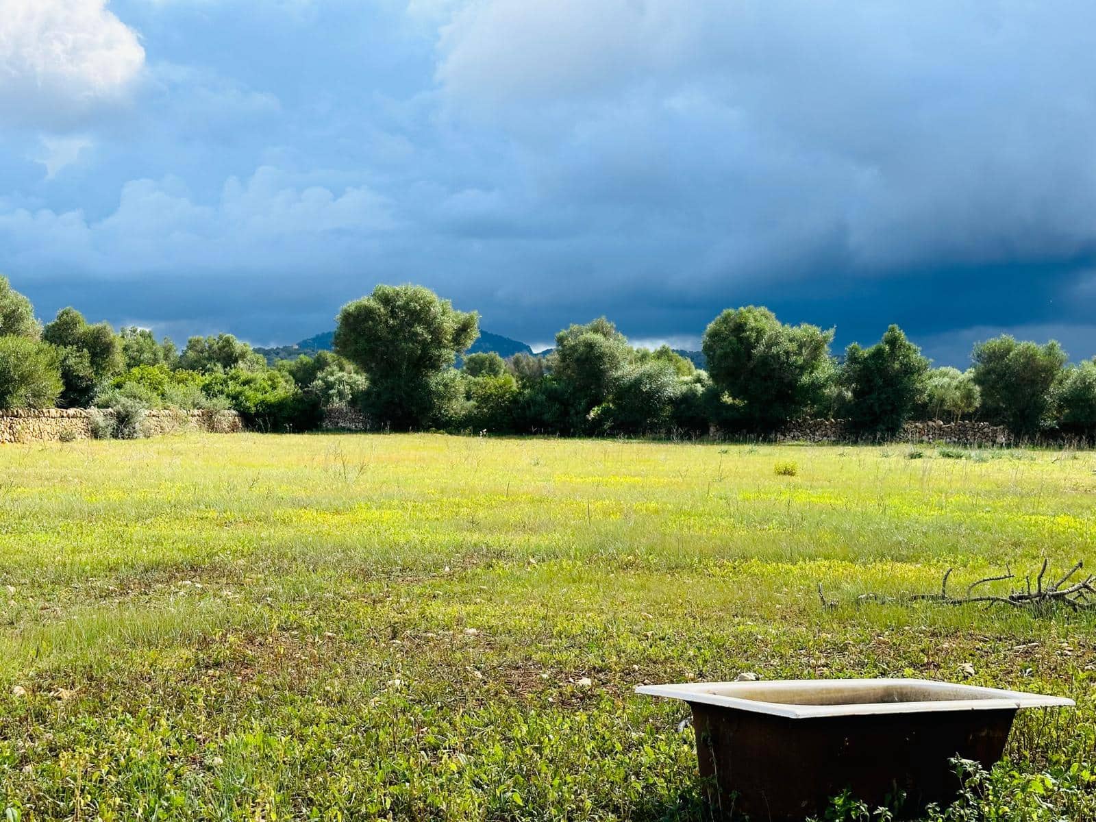 2 sypialnia Finka/Dom wiejski na sprzedaż w Felanitx z garażem - 600 000 € (Ref: 8608891)