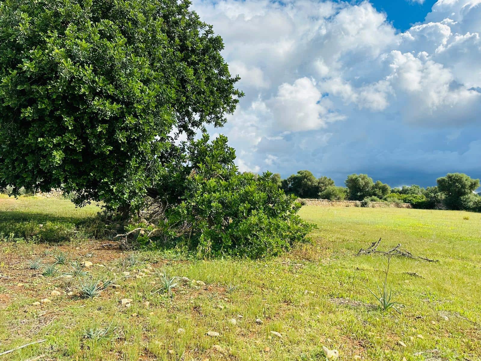 2 sypialnia Finka/Dom wiejski na sprzedaż w Felanitx z garażem - 600 000 € (Ref: 8608891)