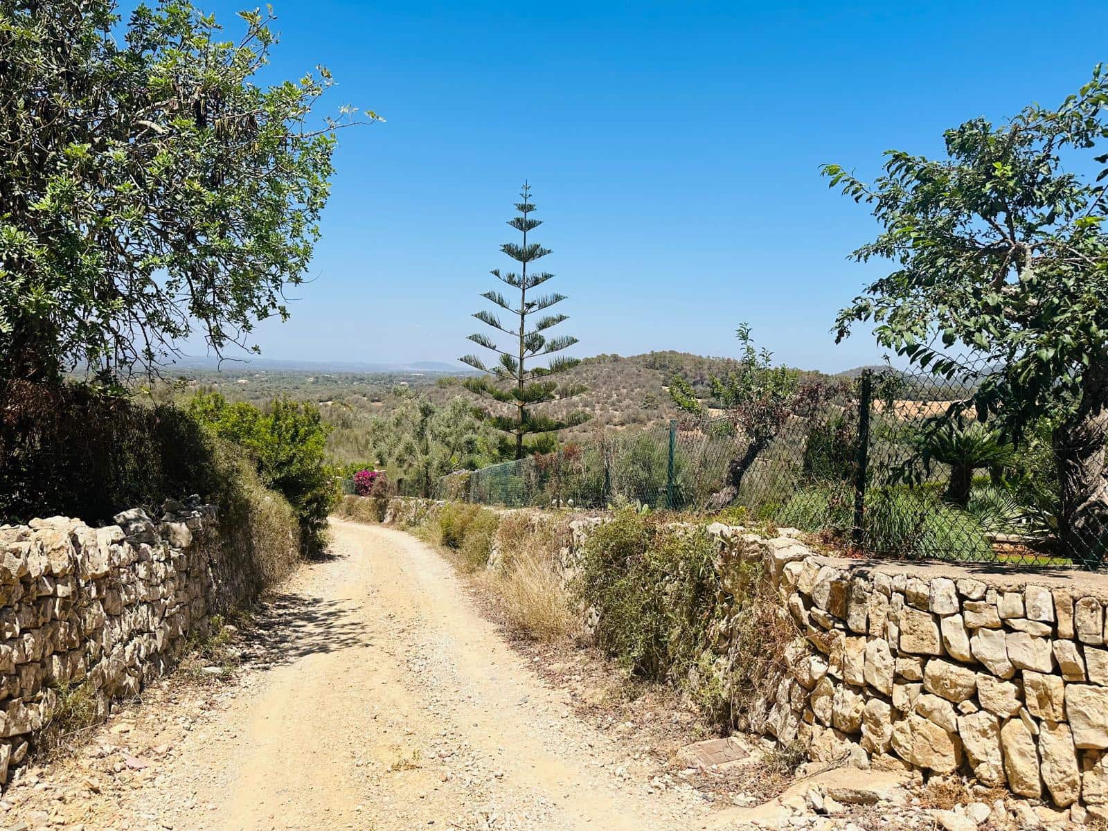 Grunde uden byggetilladelser til salg i Cas Concos - € 990.000 (Ref: 8613772)