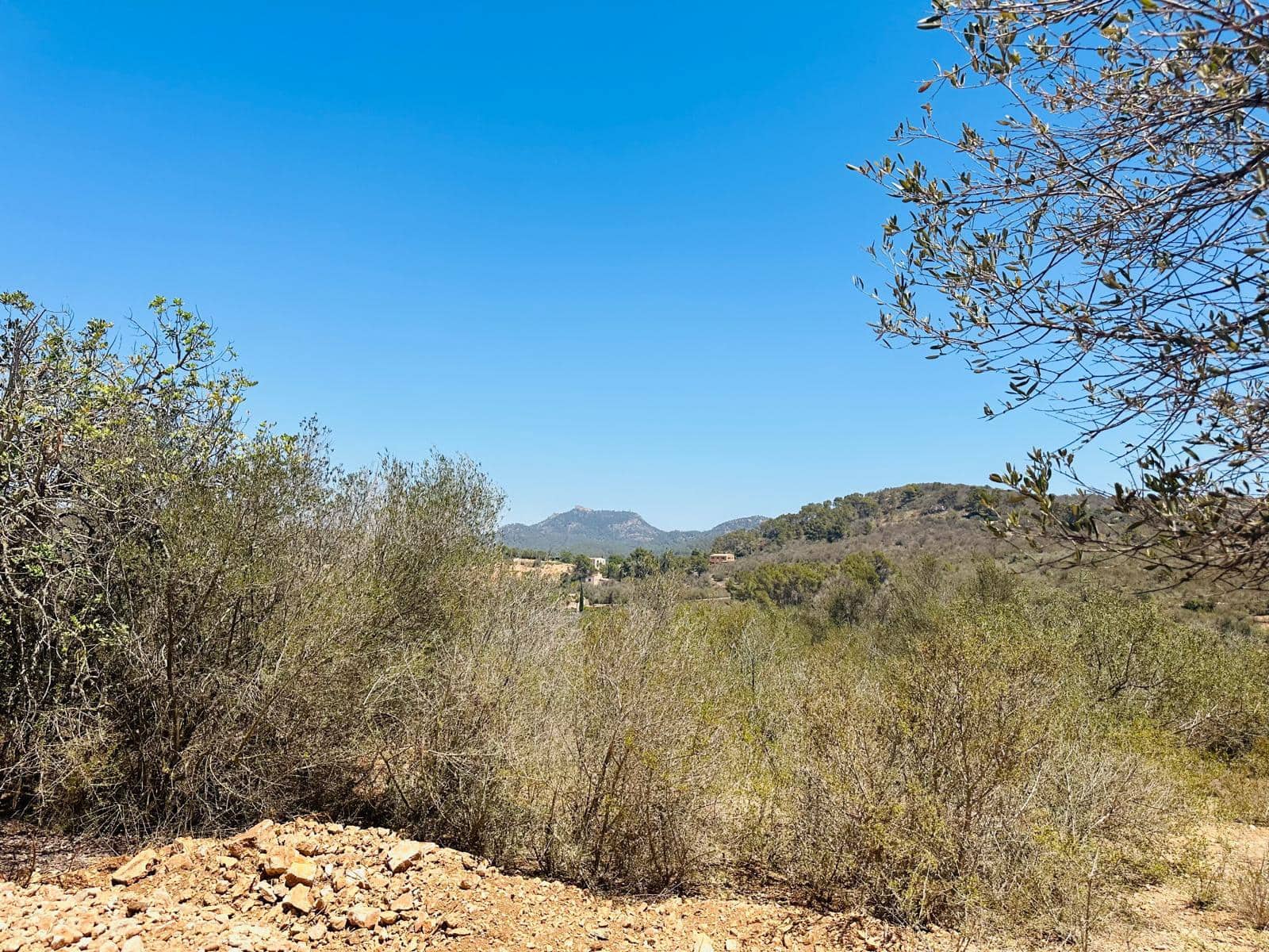 Grunde uden byggetilladelser til salg i Cas Concos - € 990.000 (Ref: 8613772)