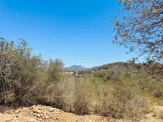 Terreno Não Urbanizado para venda em Cas Concos, Felanitx - 990 000 € (Ref: 8613772)