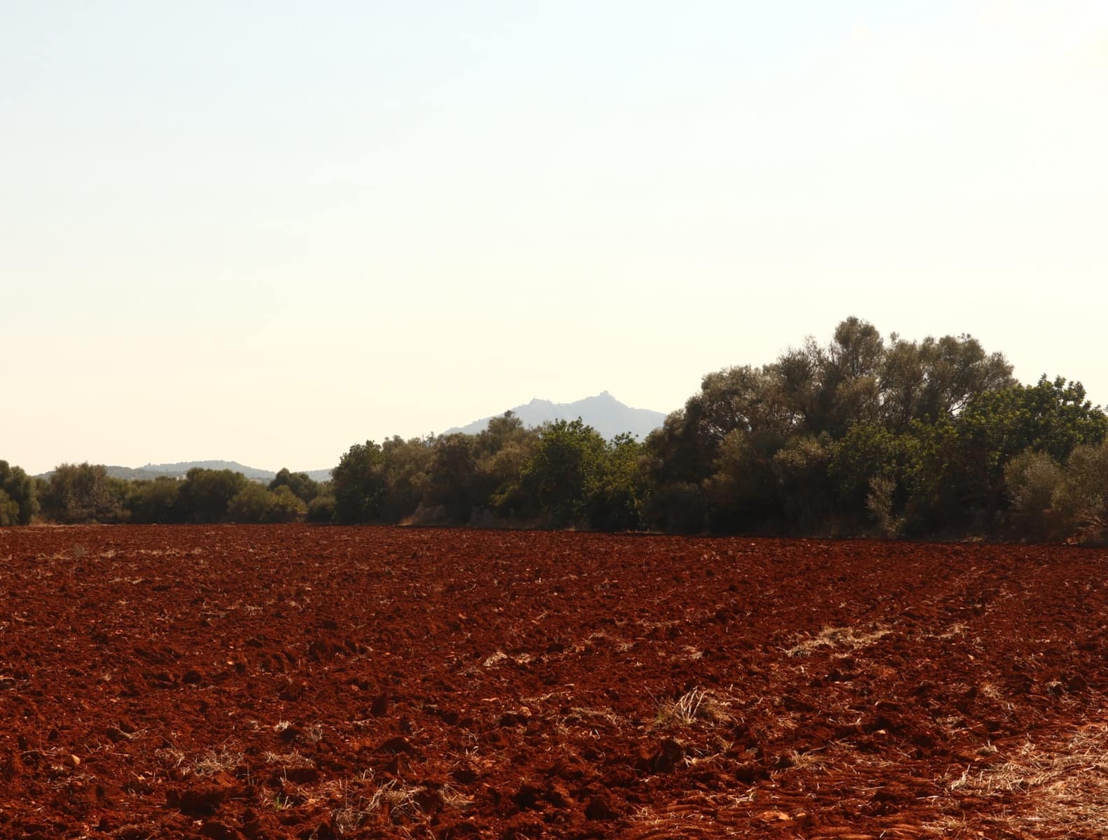 12 soveværelse Finca/Landehus til salg i Felanitx med garage - € 2.650.000 (Ref: 8680707)