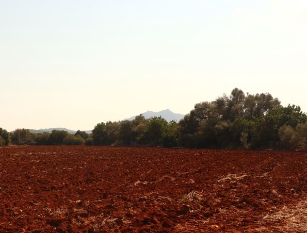 12 sypialnia Finka/Dom wiejski na sprzedaż w Felanitx z garażem - 2 650 000 € (Ref: 8680707)