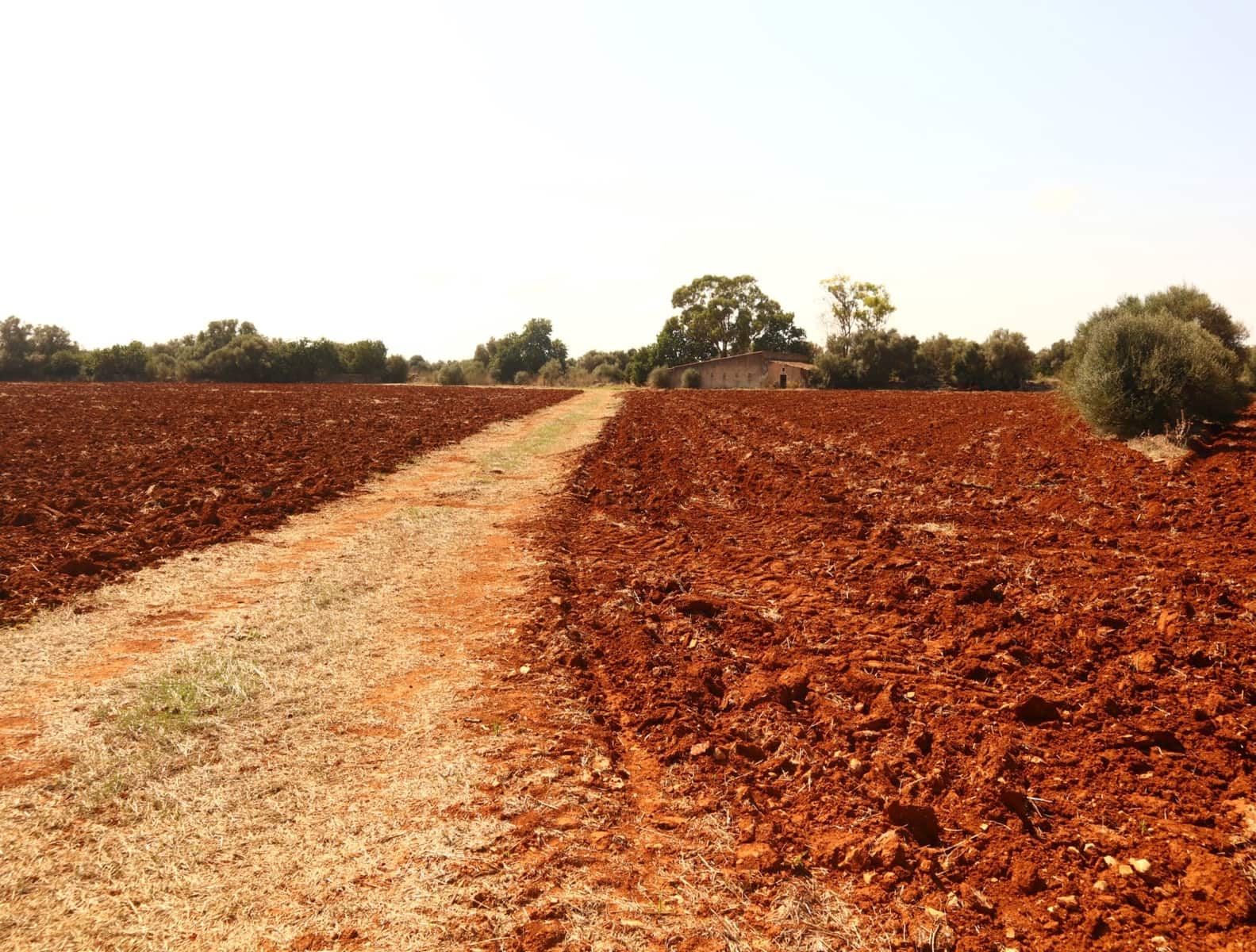 12 soveværelse Finca/Landehus til salg i Felanitx med garage - € 2.650.000 (Ref: 8680707)