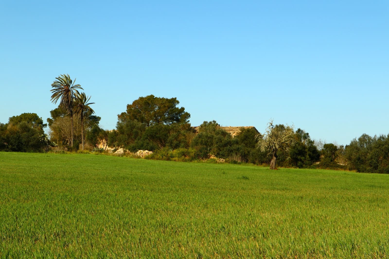 12 soveværelse Finca/Landehus til salg i Felanitx med garage - € 2.650.000 (Ref: 8680707)