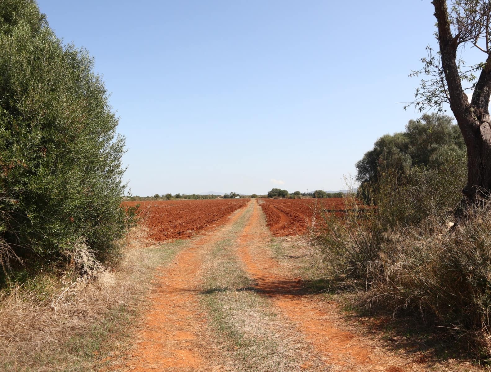 12 soveværelse Finca/Landehus til salg i Felanitx med garage - € 2.650.000 (Ref: 8680707)