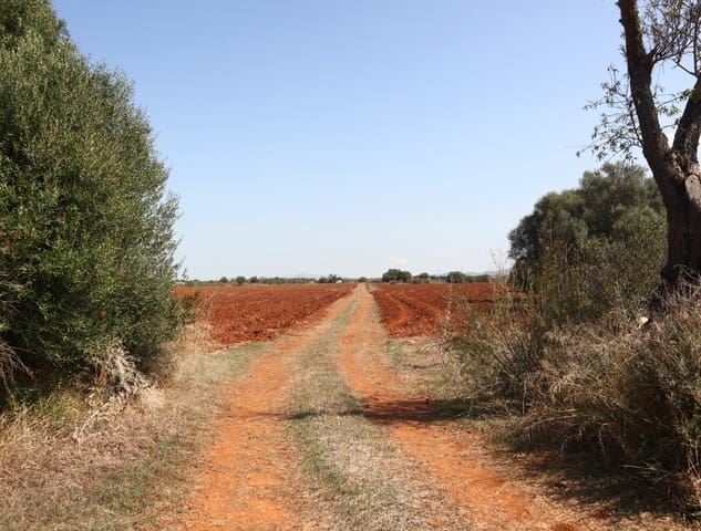 12 sypialnia Finka/Dom wiejski na sprzedaż w Felanitx z garażem - 2 650 000 € (Ref: 8680707)