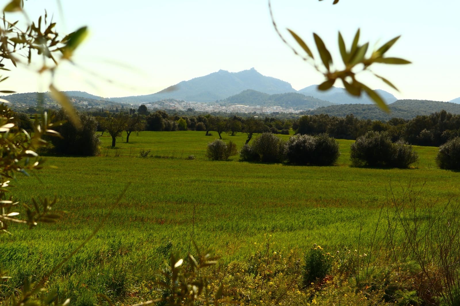 12 soveværelse Finca/Landehus til salg i Felanitx med garage - € 2.650.000 (Ref: 8680707)