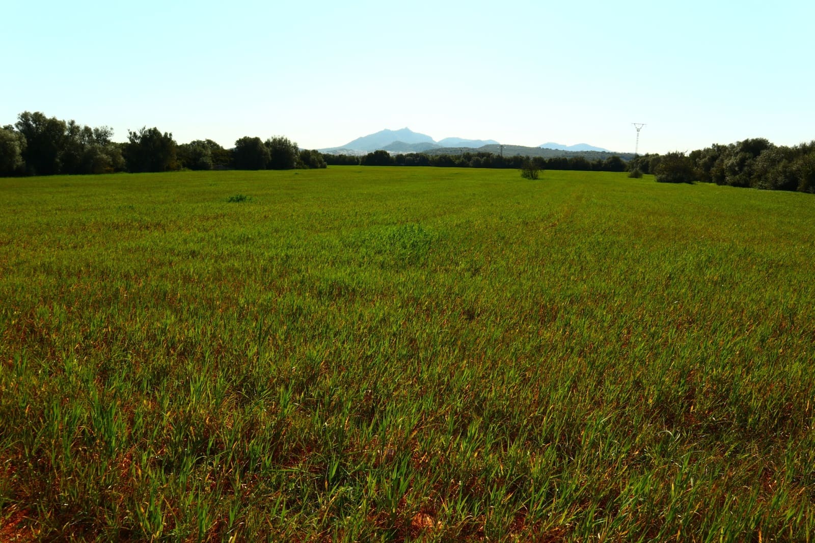 12 soveværelse Finca/Landehus til salg i Felanitx med garage - € 2.650.000 (Ref: 8680707)