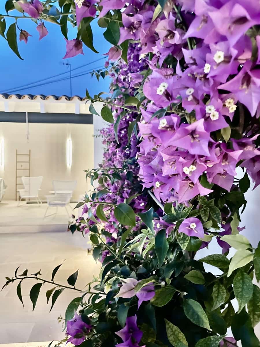 3 slaapkamer Huis te koop in Felanitx met zwembad - € 990.000 (Ref: 8758346)