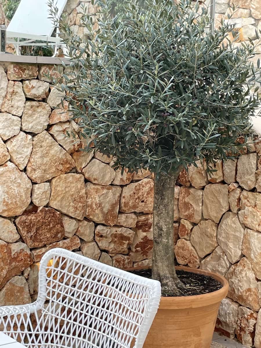 3 slaapkamer Huis te koop in Felanitx met zwembad - € 990.000 (Ref: 8758346)