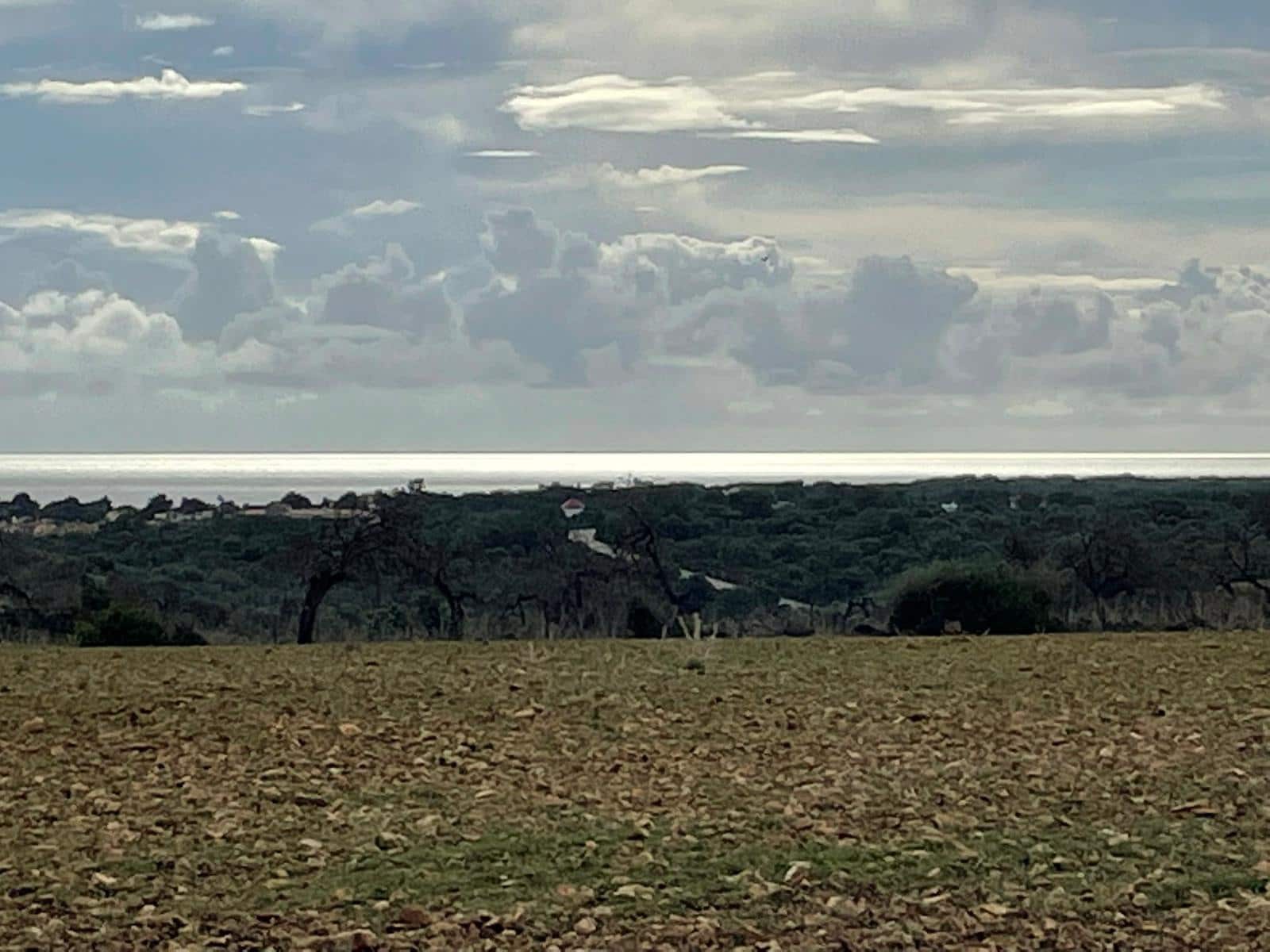 Grunde uden byggetilladelser til salg i Manacor - € 690.000 (Ref: 8778882)