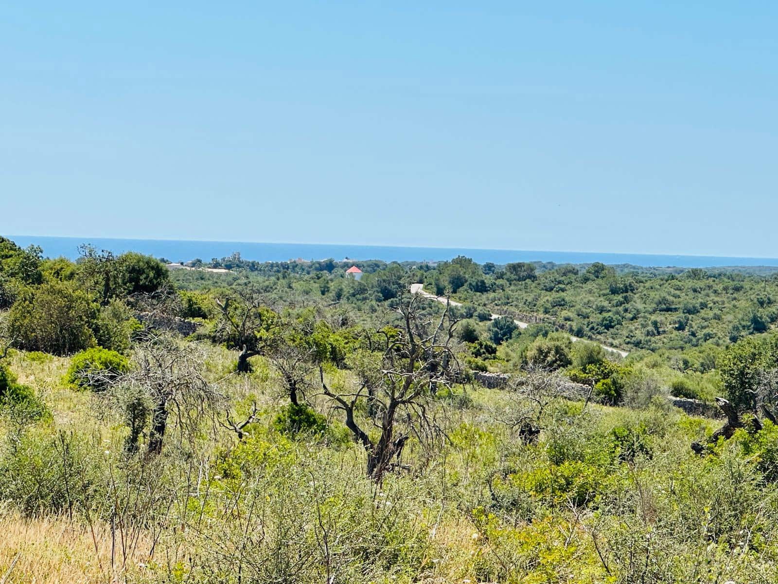 Grunde uden byggetilladelser til salg i Manacor - € 690.000 (Ref: 8778882)