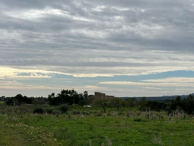 4 soverom Finca/Herregård til salgs i Espinagar, Manacor med garasje - € 1 100 000 (Ref: 8826153)