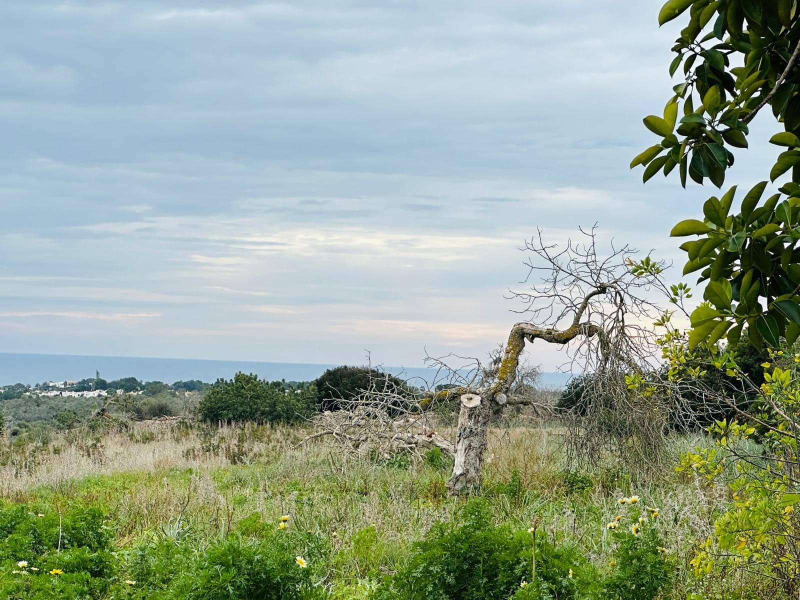 4 soveværelse Finca/Landehus til salg i Espinagar med garage - € 1.100.000 (Ref: 8826153)