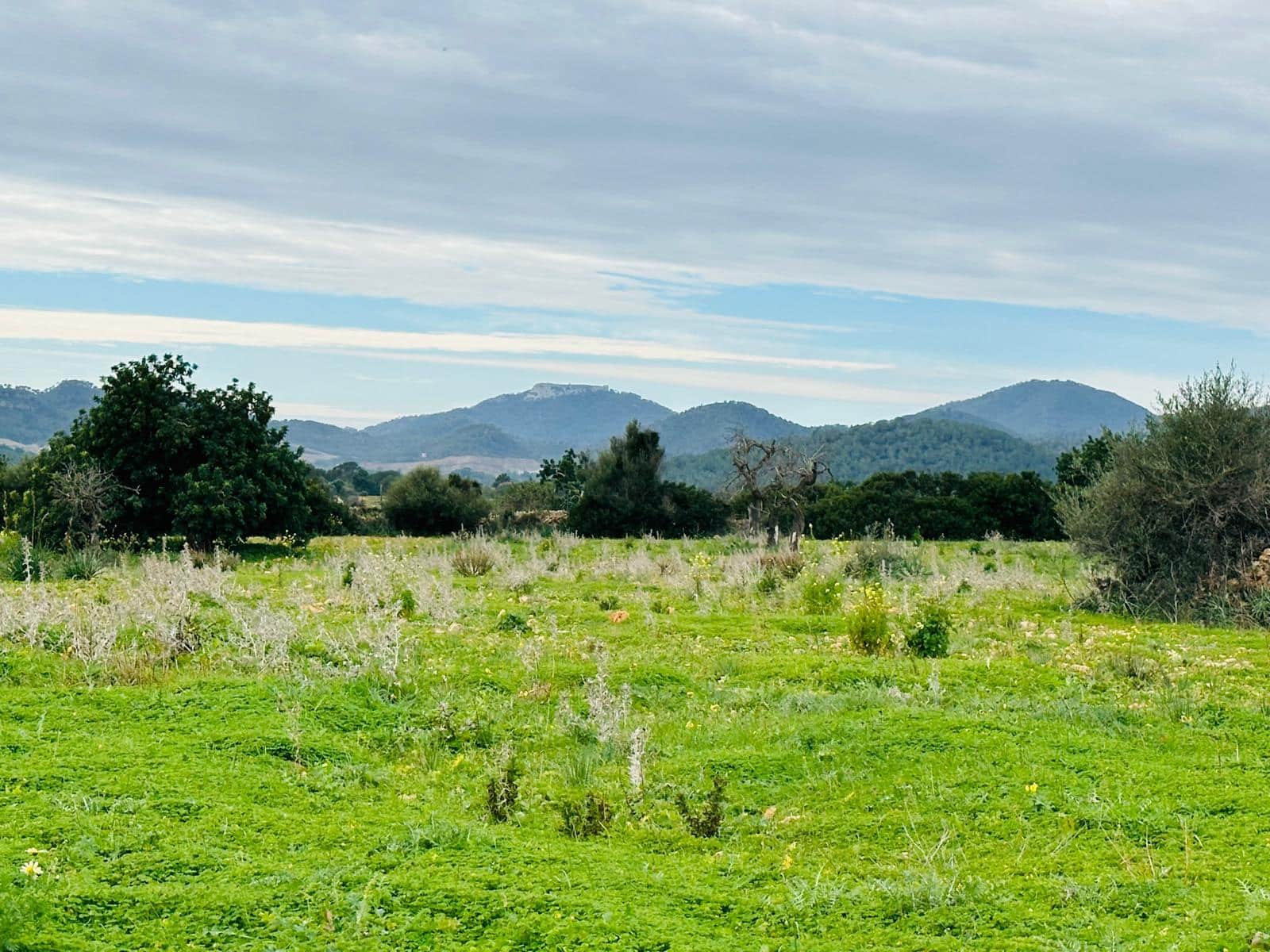 4 soveværelse Finca/Landehus til salg i Espinagar med garage - € 1.100.000 (Ref: 8826153)