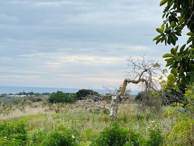 4 soverom Finca/Herregård til salgs i Espinagar, Manacor med garasje - € 1 100 000 (Ref: 8826153)