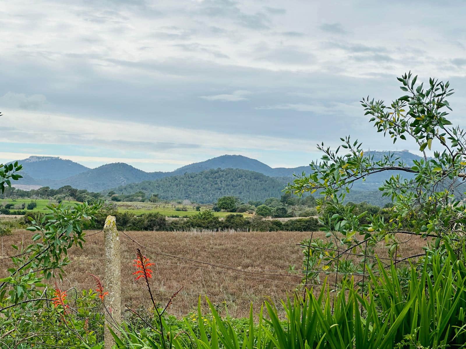 4 soveværelse Finca/Landehus til salg i Espinagar med garage - € 1.100.000 (Ref: 8826153)