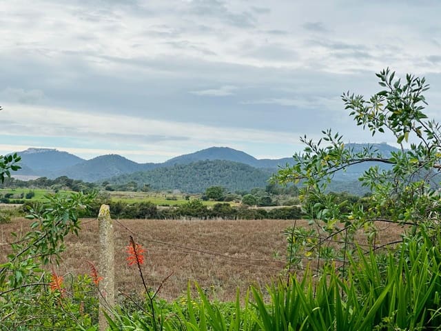 4 soverom Finca/Herregård til salgs i Espinagar, Manacor med garasje - € 1 100 000 (Ref: 8826153)