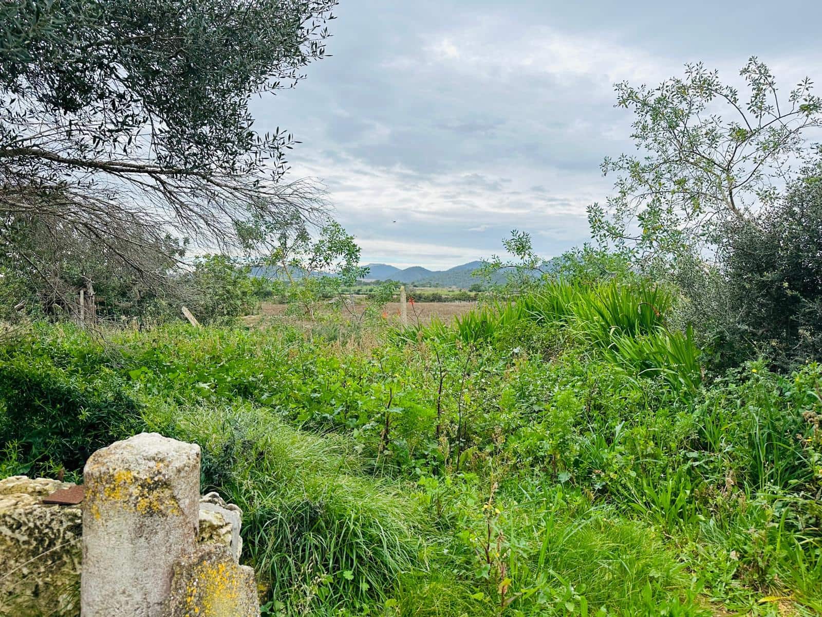 4 soveværelse Finca/Landehus til salg i Espinagar med garage - € 1.100.000 (Ref: 8826153)