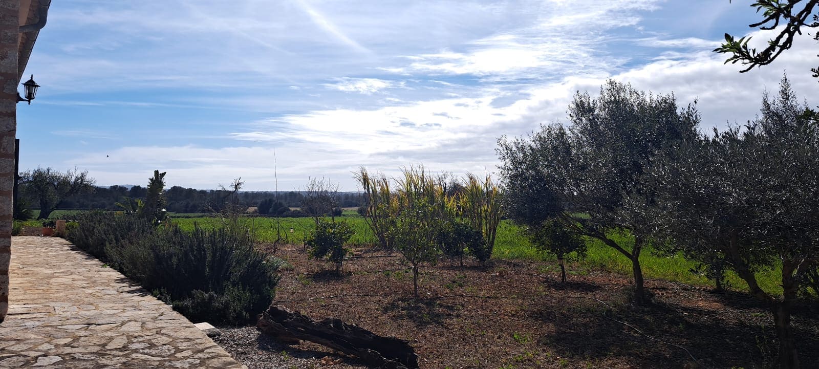 5 bedroom Finca/Country House for rent in Campos with pool garage - € 4,300 (Ref: 8986552)