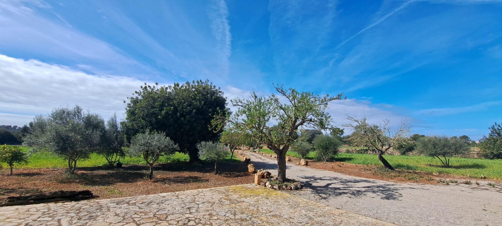 5 bedroom Finca/Country House for rent in Campos with pool garage - € 4,300 (Ref: 8986552)