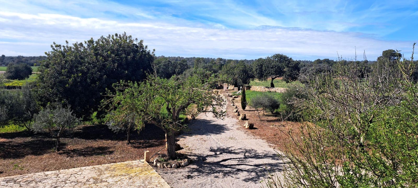 5 bedroom Finca/Country House for rent in Campos with pool garage - € 4,300 (Ref: 8986552)