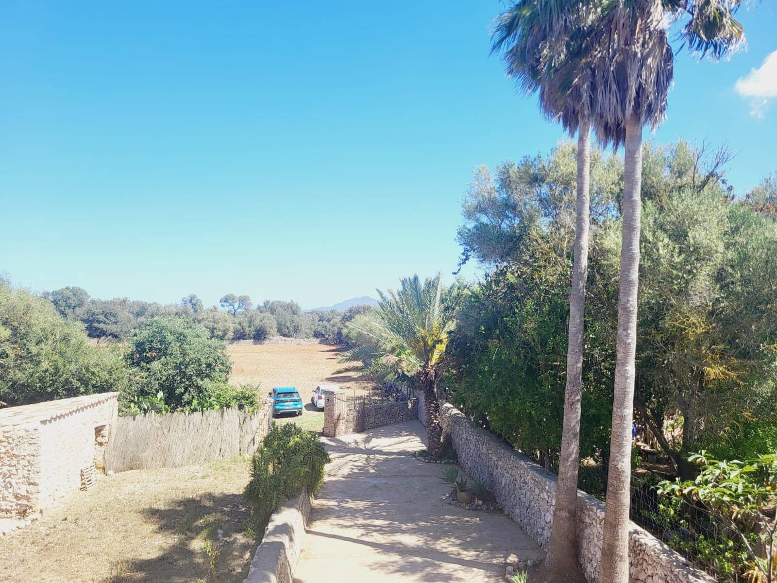 5 soveværelse Finca/Landehus til leje i Felanitx med swimmingpool garage - € 2.500 (Ref: 9003779)