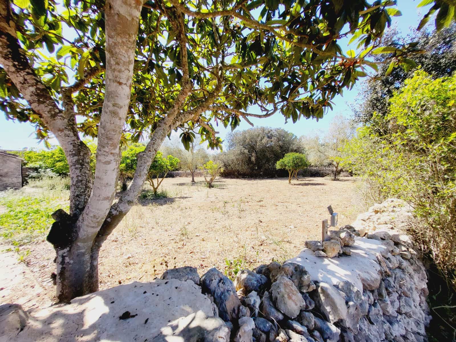 5 soveværelse Finca/Landehus til leje i Felanitx med swimmingpool garage - € 2.500 (Ref: 9003779)