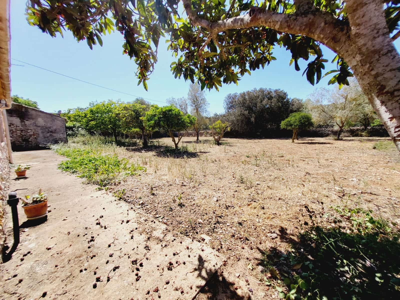 5 soveværelse Finca/Landehus til leje i Felanitx med swimmingpool garage - € 2.500 (Ref: 9003779)