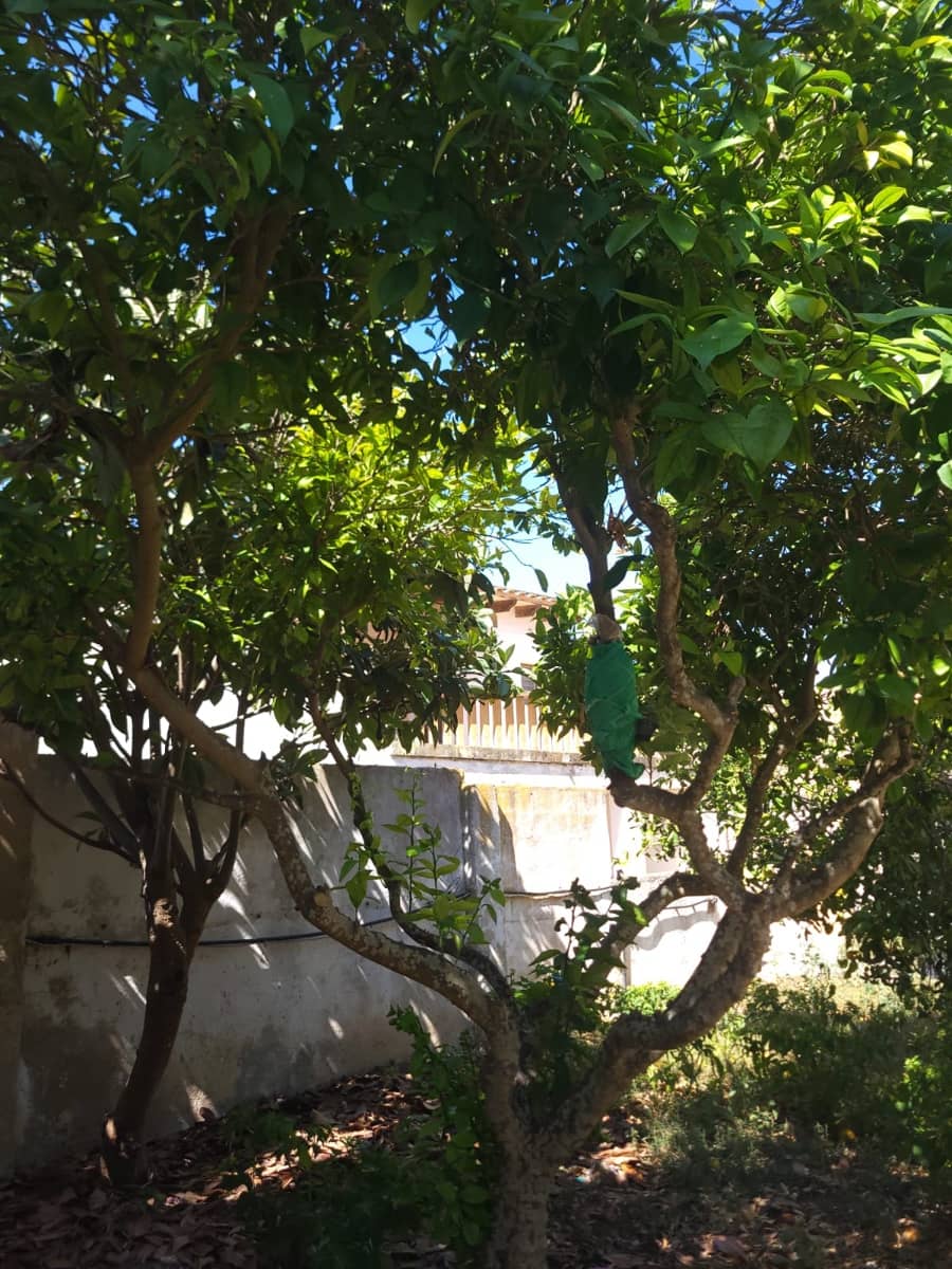 10 camera da letto Casa in vendita in Felanitx con garage - 790.000 € (Rif: 9058387)