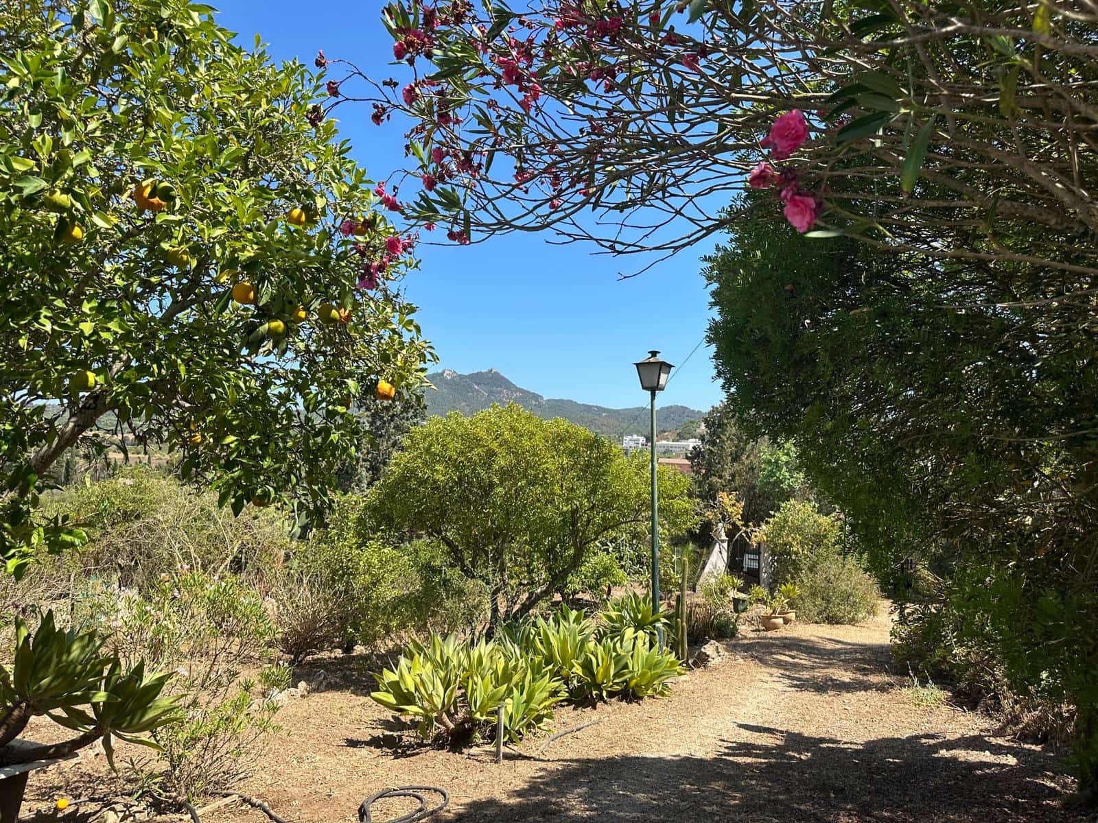 2 sypialnia Finka/Dom wiejski na sprzedaż w Felanitx z basenem garażem - 470 000 € (Ref: 9110711)