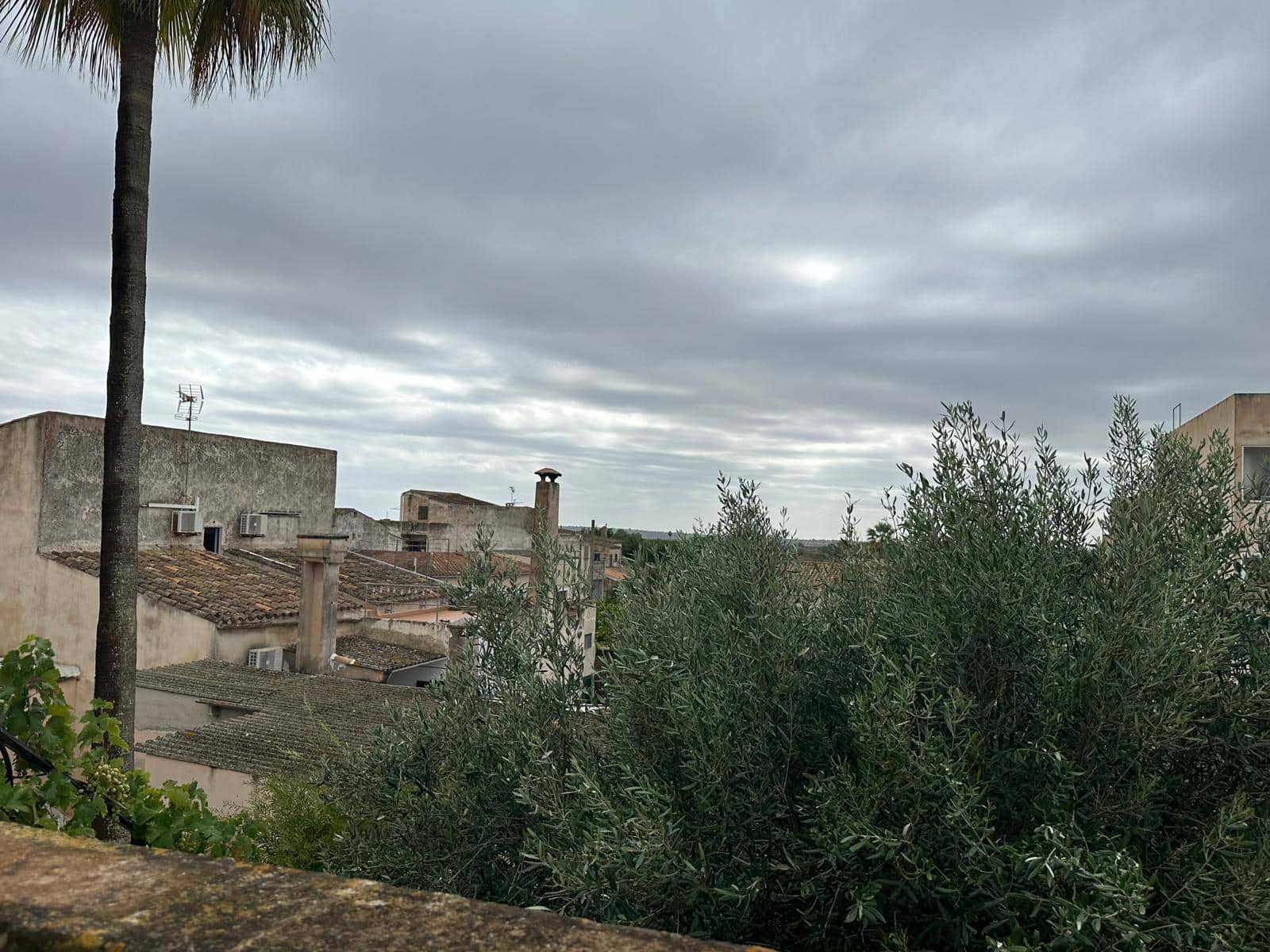 3 sovrum Lägenhet att hyra i Felanitx - 1 000 € (Ref: 9164362)